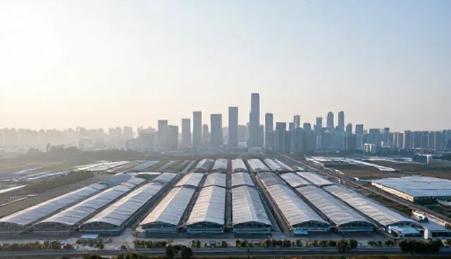 系统稳定性：运维限制下的应用场景分析