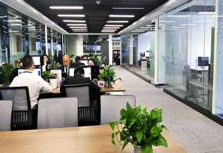 上海市墓园 大全