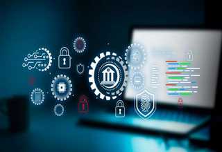 进口ultima2PPLUS双光子显微镜成像视野