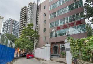 奉贤区恋猫宠物洗护店