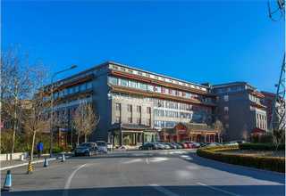 上海办公室盆栽绿植租赁上门维护