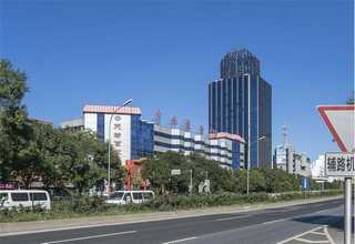 广东景观草坪铺设