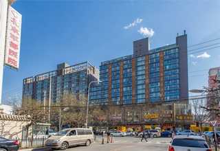 山东儿童全脑开发训练图