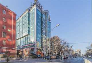 虹口区速生花卉销售报价